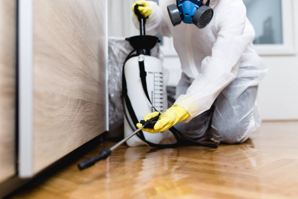 Reliable Somonauk, IL Pest Control Solutions