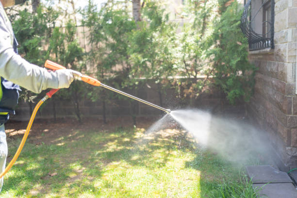 Best Spider Control Near Me  in Somonauk, IL