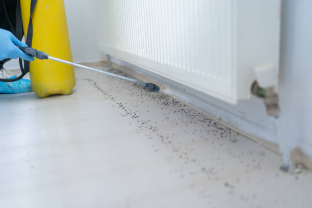 Pest Control for Restaurants in Somonauk, IL