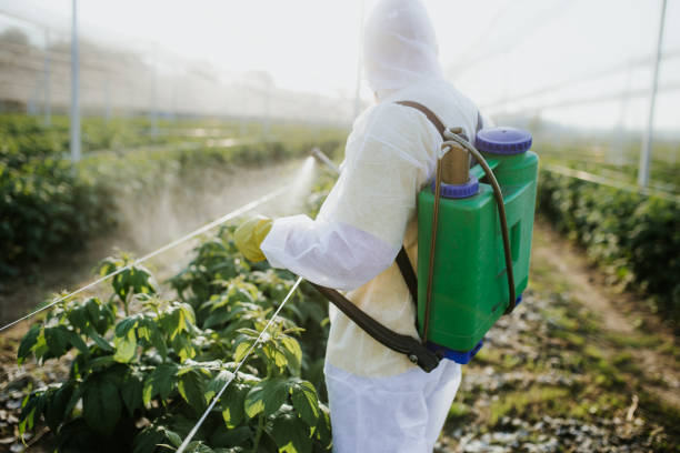 Best Pest Inspection Near Me  in Somonauk, IL